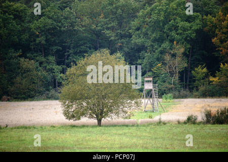 Un alto piedistallo per la caccia sorge ai margini del bosco su un campo. Foto Stock