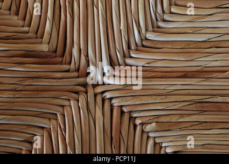 Canne di bambù. Pezzi di bambù trovato dopo l uragano sulla ocean shore Foto Stock