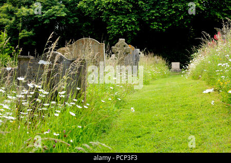 San Donato Monchelsea village, Kent, Inghilterra. La Chiesa di San Pietro yard - percorso tagliato attraverso la erba lunga Foto Stock