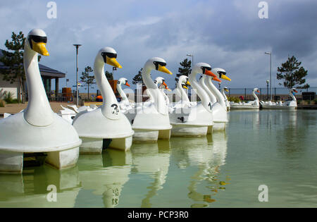 26 aprile 2018 Bangor Irlanda del Nord. Swan pedalò a tema per il noleggio nel popolare centro Pickie sedere vuoto su una fredda mattina di primavera Foto Stock