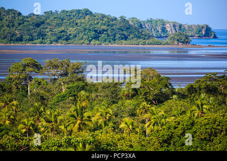 La foresta pluviale costiera a Punta Patino riserva naturale, Pacific Coast, provincia di Darien, Repubblica di Panama. Foto Stock