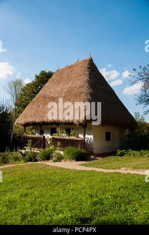 Casa Tradizionale in Romania con un tetto realizzato di cannucce Foto Stock