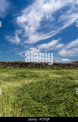 Appena falciata altopiano di Prato in Yorkshire Dales, UK. Foto Stock