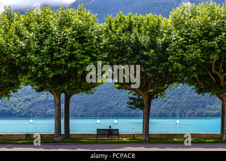 L'alberato boulevard du Lac al Grand Port nella città di Aix les Bains in Auvergne-Rhone-Alpes regione nel sud-est della Francia. In oriente Foto Stock
