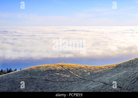 Sopra le nuvole sul Monte Tamalpais. Foto Stock