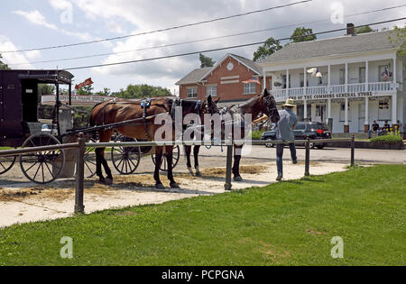 Un uomo Amish si siede accanto al suo cavallo e carrozza di fronte al fine di Commons General Store in Mesopotamia, Ohio. Foto Stock