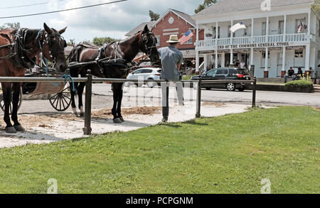 Un uomo Amish si siede accanto al suo cavallo e carrozza di fronte al fine di Commons General Store in Mesopotamia, Ohio. Foto Stock