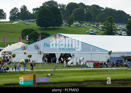 Showground ad RHS Chatsworth Flower Show (persone che visitano, grande tendone floreali, giganteschi fiori scultorea & collina parco auto) Derbyshire, England, Regno Unito Foto Stock