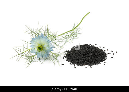 Cumulo di nero semi di nigella e fiore blu isolato su sfondo bianco Foto Stock