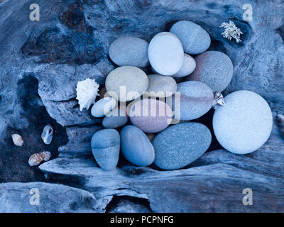 Ciottoli sui driftwood sul driftwood beach, tsitsikamma national park, garden route, sud africa Foto Stock