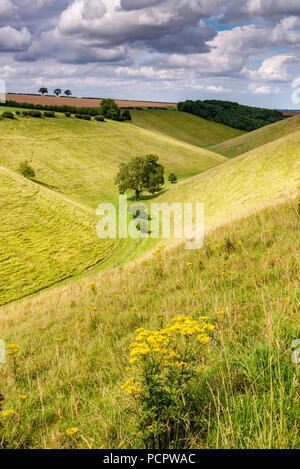 Horsedale sul Yorkshire Wolds Foto Stock