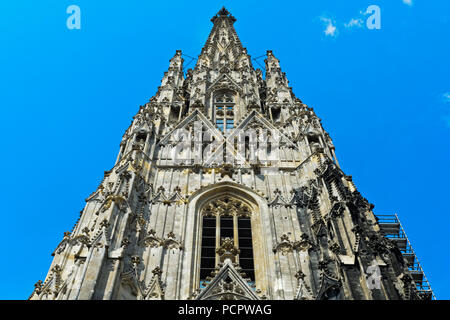 Torre Sud, dettaglio, la cattedrale di Santo Stefano, Stephansdom, Vienna, Austria Foto Stock