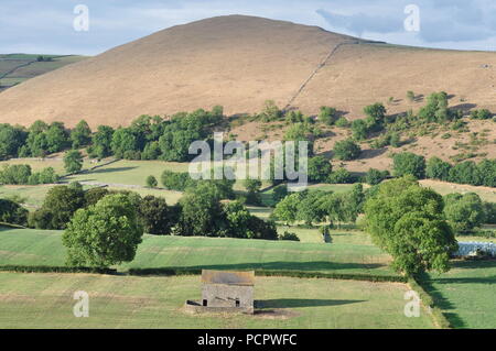 Guardando a nord da Ordnance Survey 092649 appena ad est di Longnor, verso Crowdicote, Staffordshire Peak District, Inghilterra, Regno Unito. Foto Stock