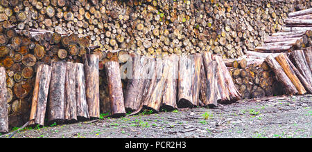 Chiudere fino enorme di legna da ardere logs pila Foto Stock