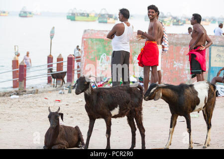 RAMESHWARAM, Tamil Nadu, India- marzo circa 2018. In corrispondenza del cancello, non identificato pellegrini Indù gente pronta ad andare al bagno in mare Arabico prima en Foto Stock