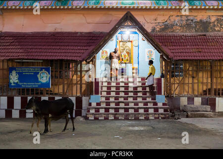 RAMESHWARAM, Tamil Nadu, India- marzo circa 2018. In via principale, non identificato pellegrini Indù gente pronta per andare al tempio a piedi, dopo t Foto Stock