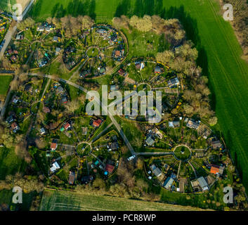 Riparto giardino a Heuweg in Stockum, giardino circolare disposizione appezzamenti in primavera, Witten-Stockum, Witten, zona della Ruhr, Nord Reno-Westfalia, Germania Foto Stock