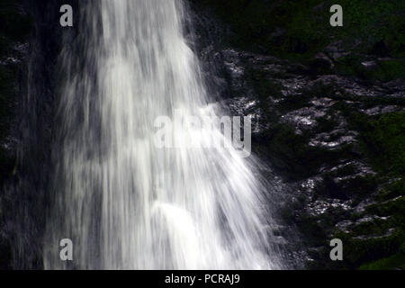 Dixon cade nel Fundy National Park in New Brunswick, Canada Foto Stock