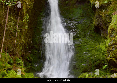 Dixon cade nel Fundy National Park in New Brunswick, Canada Foto Stock