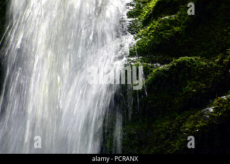 Dixon cade nel Fundy National Park in New Brunswick, Canada Foto Stock