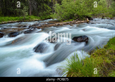 Jonas Creek nei pressi di Jonas Creek campeggio, il Parco Nazionale di Jasper, Alberta, Canada Foto Stock