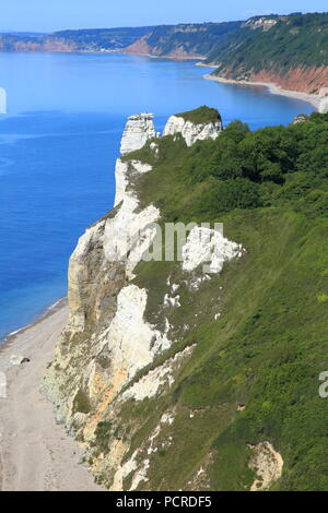 Bianche Scogliere in Hooken smottamento area vicino Branscombe nel Devon su Jurassic Coast Foto Stock