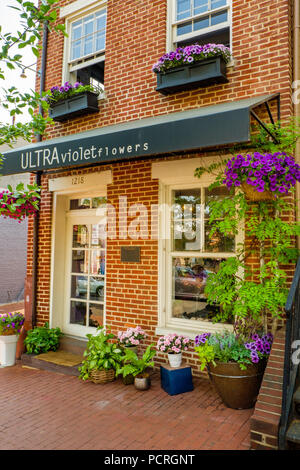 Ultra fiori viola, 1218 31st Street NW, Georgetown, Washington DC Foto Stock