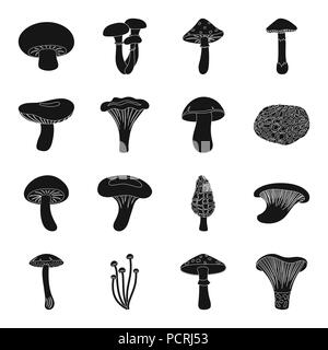 Actarius,agaric,amanita,l'arte,Black,boletus,marrone,cap,champignon,chanterelle,raccolta,delicatezza,design,enokitake,cibo,forest,verde,miele,icona,immagine,indigo,isolato,logo,mashroom,latte,morel,oyster,impianto,porcini,prodotto,russula,impostare,i funghi shiitake,il simbolo,toadstool,tartufo,vettore,web, Vettori vettore , Illustrazione Vettoriale