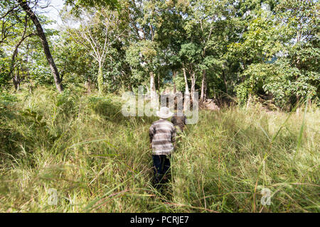 Il sentiero nella giungla per il tempio Khmer di Prasat Neak Buos ad est della città di Sra Em a nord della città Preah Vihear in Northwaest Cambogia. Foto Stock