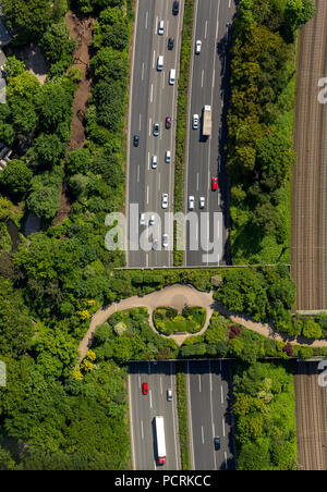 Zoo Autobahnbrücke, ponte attraverso un3 Autobahn (autostrada), Zoo di Duisburg, Duisburg, la zona della Ruhr Foto Stock