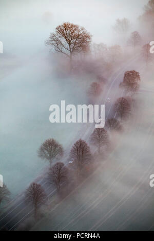 Nebbia di mattina su Lippepe, Lippe marsh, alba Hamm, vista aerea di Hamm, la zona della Ruhr Foto Stock