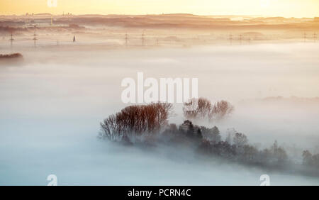 Nebbia di mattina su Lippepe, Lippe marsh, alba Hamm, vista aerea di Hamm, la zona della Ruhr Foto Stock
