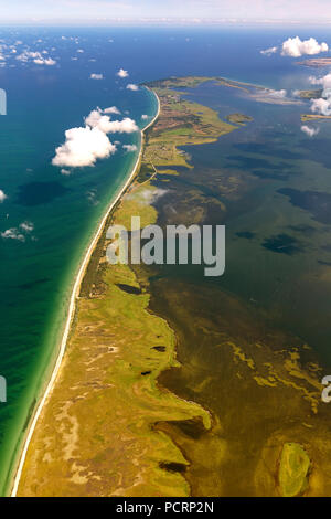 Vista aerea, a sud dell'isola Hiddensee, riserve naturali e Gellen Gänsewerder, riserva naturale Dünenheide, brughiera, Hiddensee, Mar Baltico isola, Meclemburgo-Pomerania Occidentale, Germania, Europa Foto Stock