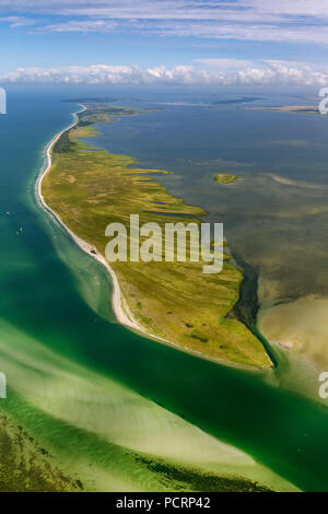 Vista aerea, a sud dell'isola Hiddensee, riserve naturali e Gellen Gänsewerder, riserva naturale Dünenheide, brughiera, Klausdorf, Mar Baltico isola, Meclemburgo-Pomerania Occidentale, Germania, Europa Foto Stock