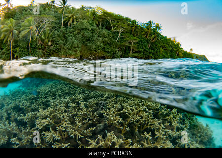 Snorkeling all'interno della laguna a Huahine, Polinesia Francese Foto Stock