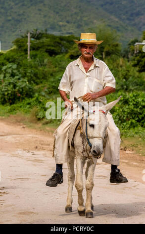 Il vecchio contadino cubano su un asino mulo con il cappello in la Valle de los Ingenios, Trinidad, Cuba, Sancti Spíritus, Cuba Foto Stock