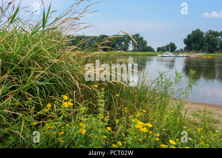 Elba Cycletour, Coswig (Sassonia-Anhalt), Elba traghetto, shore Foto Stock