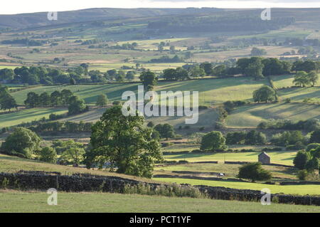 Guardando verso sud-ovest da Ordnance Survey 104633 griglia a sud-est di Longnor, Staffordshire Peak District, England Regno Unito Foto Stock