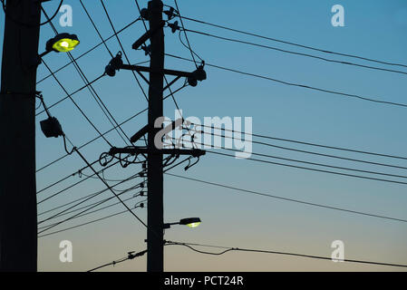 Due poli di alimentazione elettrica australiani in legno con luci per la strada accese e cavi collegati al tramonto Foto Stock