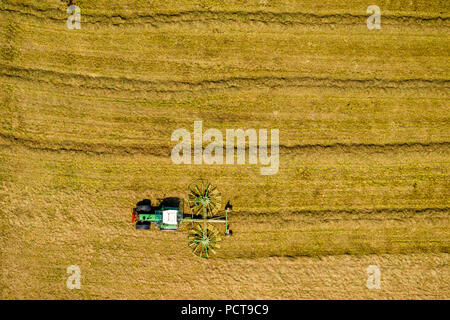 Trattore con twin rotary rastrello da fieno e le andane di paglia su un campo di raccolto, il raccolto di grano, Sprockhövel, la zona della Ruhr, Nord Reno-Westfalia, Germania Foto Stock