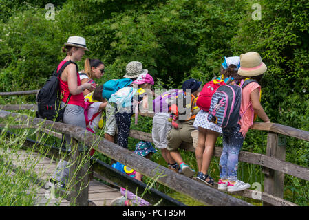 I bambini nel Centro Pro Natura Champ-Pittet, Grande Cariçaie Riserva Naturale, Cheseaux-Noréaz sud-orientale rive, Lac de Neuchâtel, il cantone di Neuchâtel, Svizzera Occidentale, Svizzera Foto Stock