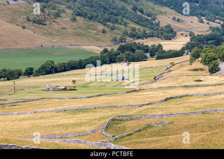 CONISTONE, Yorkshire/UK - Luglio 27 : vista di una fattoria vicino a Conistone nello Yorkshire sulla luglio 27, 2018 Foto Stock