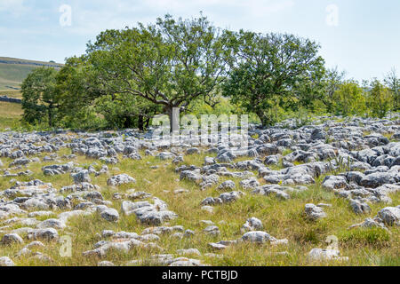 Vista la pavimentazione di pietra calcarea nei pressi del villaggio di Conistone nel Yorkshire Dales National Park Foto Stock