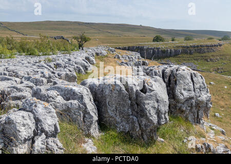 Vista la pavimentazione di pietra calcarea nei pressi del villaggio di Conistone nel Yorkshire Dales National Park Foto Stock