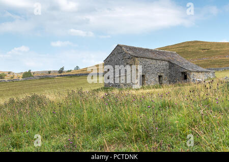 CONISTONE, Yorkshire/UK - Luglio 27 : vista di un fienile in pietra vicino al villaggio di Conistone nel Yorkshire Dales National Park nello Yorkshire sulla luglio 27, 2018 Foto Stock