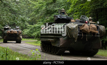 AAV-P7/A1 assalto anfibio con veicoli il ventiduesimo Marine Expeditionary Unit (MEU) preparare per passare al loro obiettivo durante la forza-su-force formazione come parte del ventiduesimo MEU Deployment per la formazione a Fort A.P. Hill, VA., 24 luglio 2018. Durante la formazione, Marines con Battaglione Team di atterraggio, 1° Battaglione, 2° Marines, XXII MEU catturato un aerodromo, ha guadagnato un punto di appoggio e stabilito le posizioni di blocco prima di eseguire la transizione a saccheggiare composti e ristabilire una difesa in preparazione per la loro prossima distribuzione con il ventiduesimo MEU. (U.S. Marine Corps foto di Cpl. Aaron Henson) Foto Stock