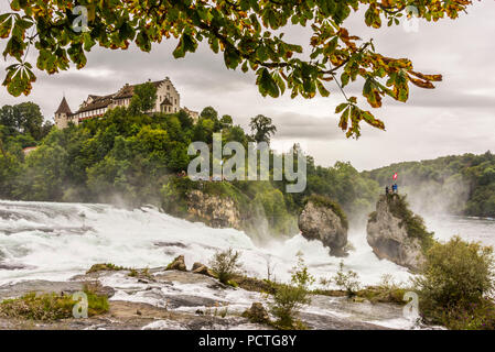 Vista sulle Cascate del Reno e Cascate del Reno rock al Castello Laufen, vicino Schaffhausen, Svizzera Foto Stock