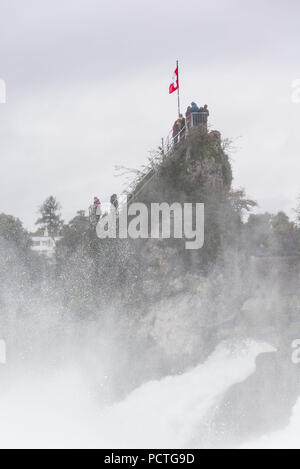 Vista delle Cascate del Reno e Cascate del Reno rock vicino a Neuhausen, canton Sciaffusa, Svizzera Foto Stock