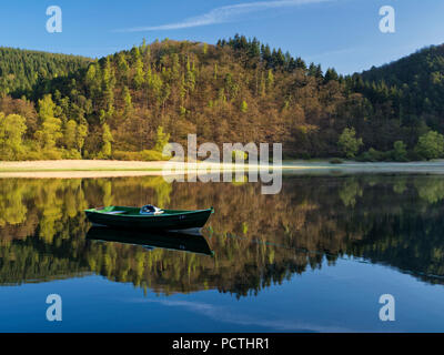 Germania, Hesse, Vöhl, la natura e il parco nazionale di Kellerwald-Edersee, barca sul Edersee di Ehrenberg, primordiale sentiero forestale Foto Stock