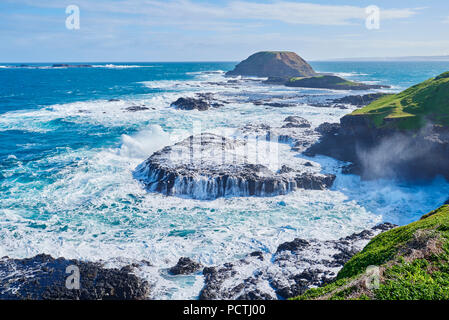 Paesaggio (i Nobbies), in primavera sulla pista di Phillip Island, Melbourne, Victoria, Australia, Oceania Foto Stock